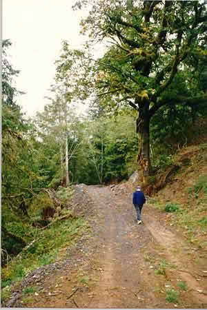 Hiking Trail