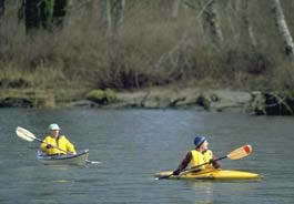 Kayaking on the River