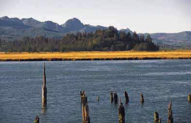 Nehalem River